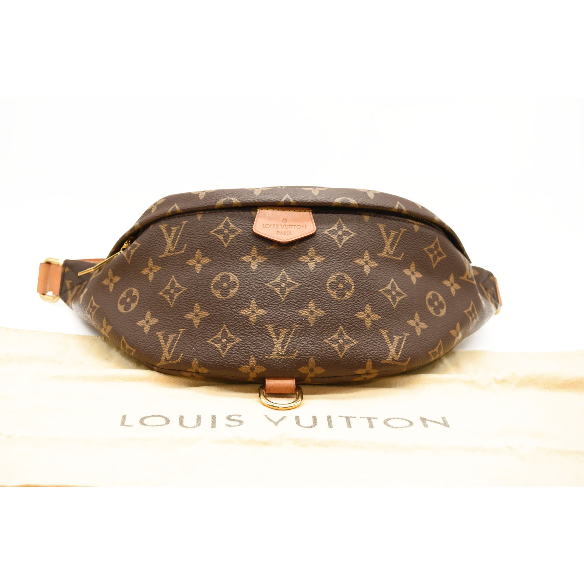 LOUIS VUITTON Monogram Bumbag