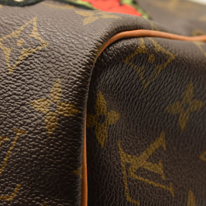 Louis Vuitton Speedy Patches Bandoliere 30