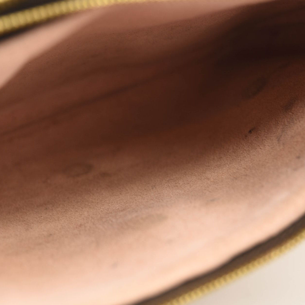 LOUIS VUITTON Monogram Blooming Flowers Double Zip Pochette