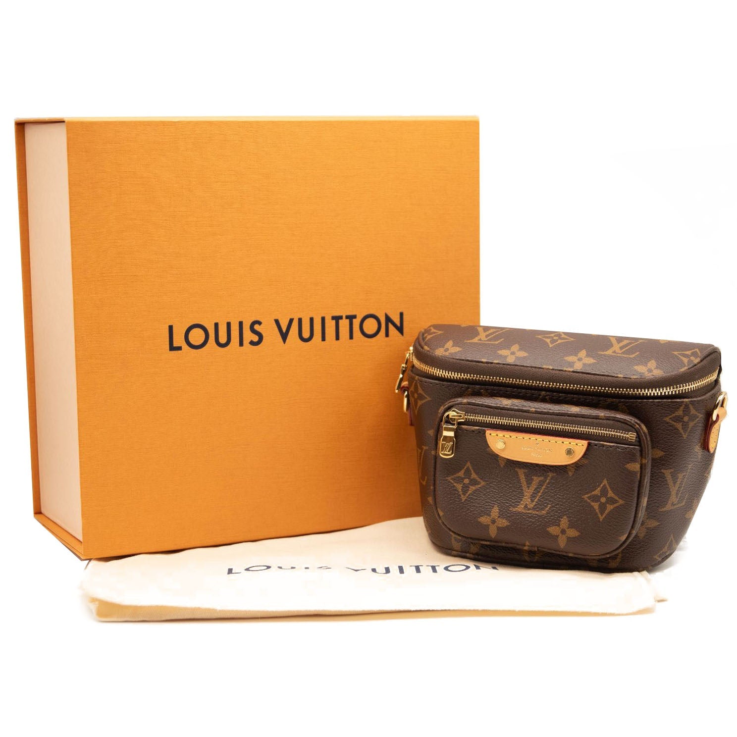 NEW LOUIS VUITTON Monogram Mini Bumbag