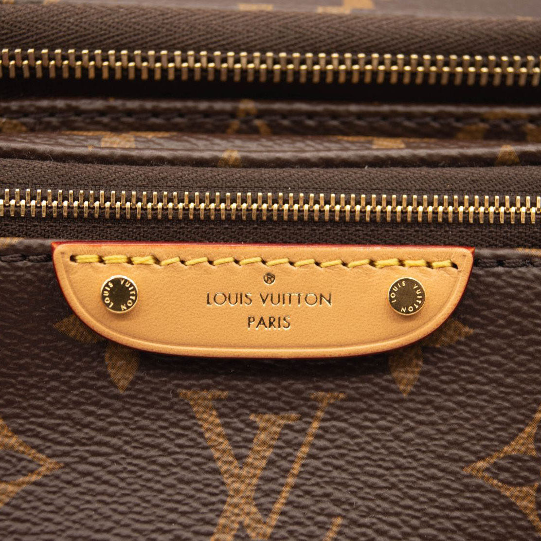 NEW LOUIS VUITTON Monogram Mini Bumbag