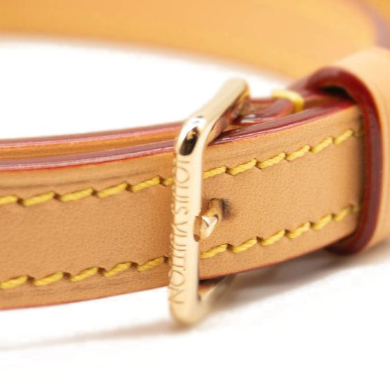 NEW LOUIS VUITTON Monogram Mini Bumbag