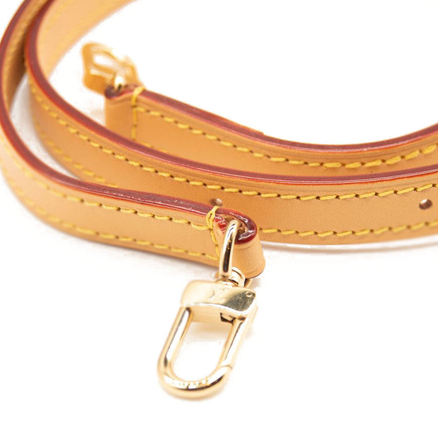 NEW LOUIS VUITTON Monogram Mini Bumbag