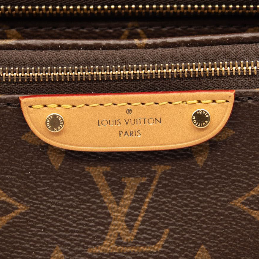 NEW LOUIS VUITTON Monogram Mini Bumbag