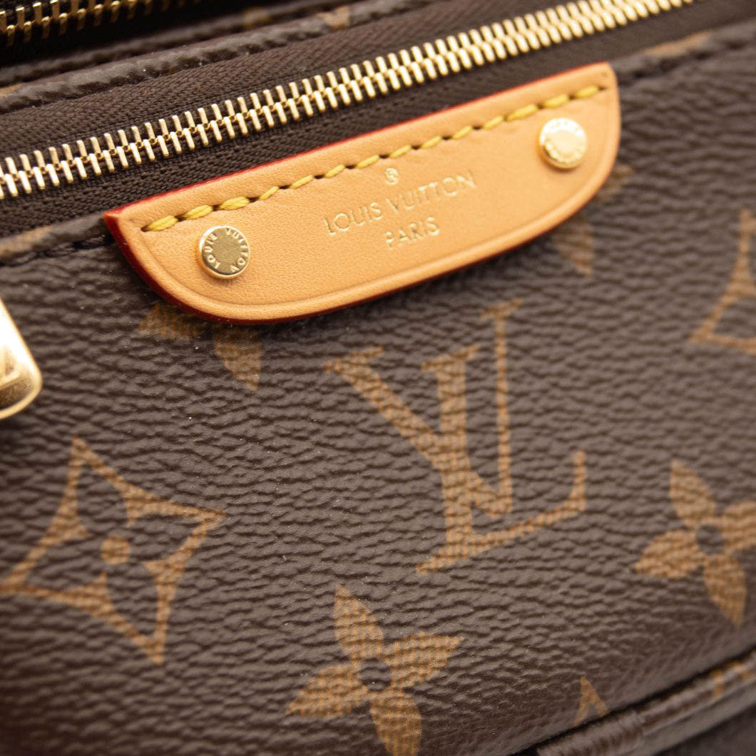 NEW LOUIS VUITTON Monogram Mini Bumbag