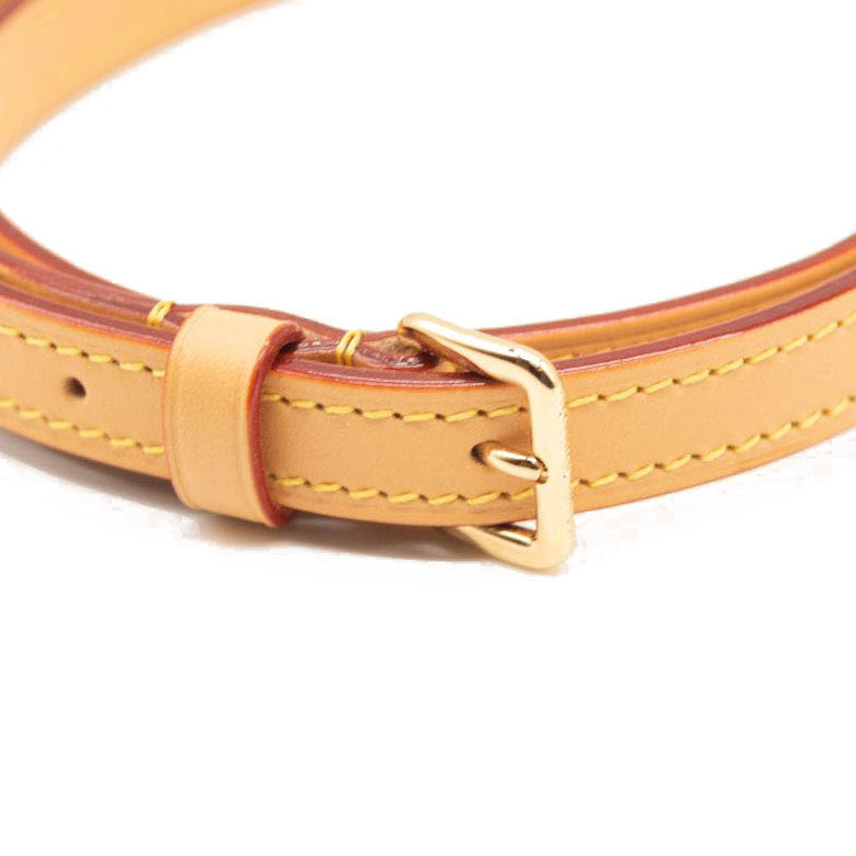 NEW LOUIS VUITTON Monogram Mini Bumbag