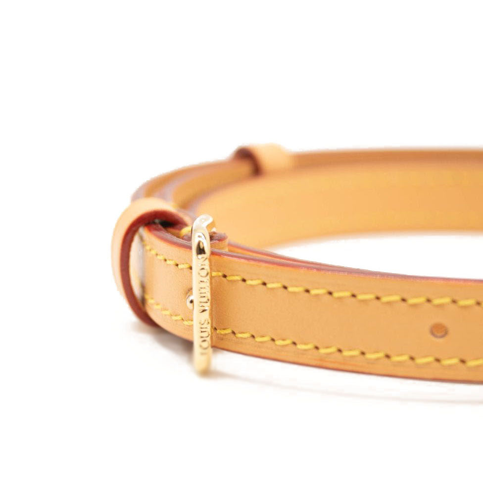 NEW LOUIS VUITTON Monogram Mini Bumbag