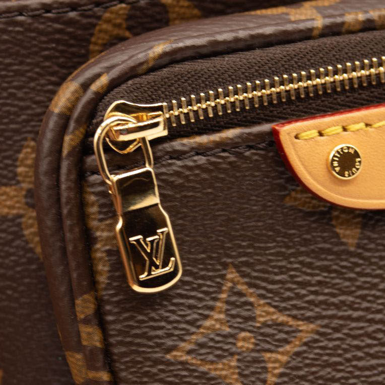 NEW LOUIS VUITTON Monogram Mini Bumbag