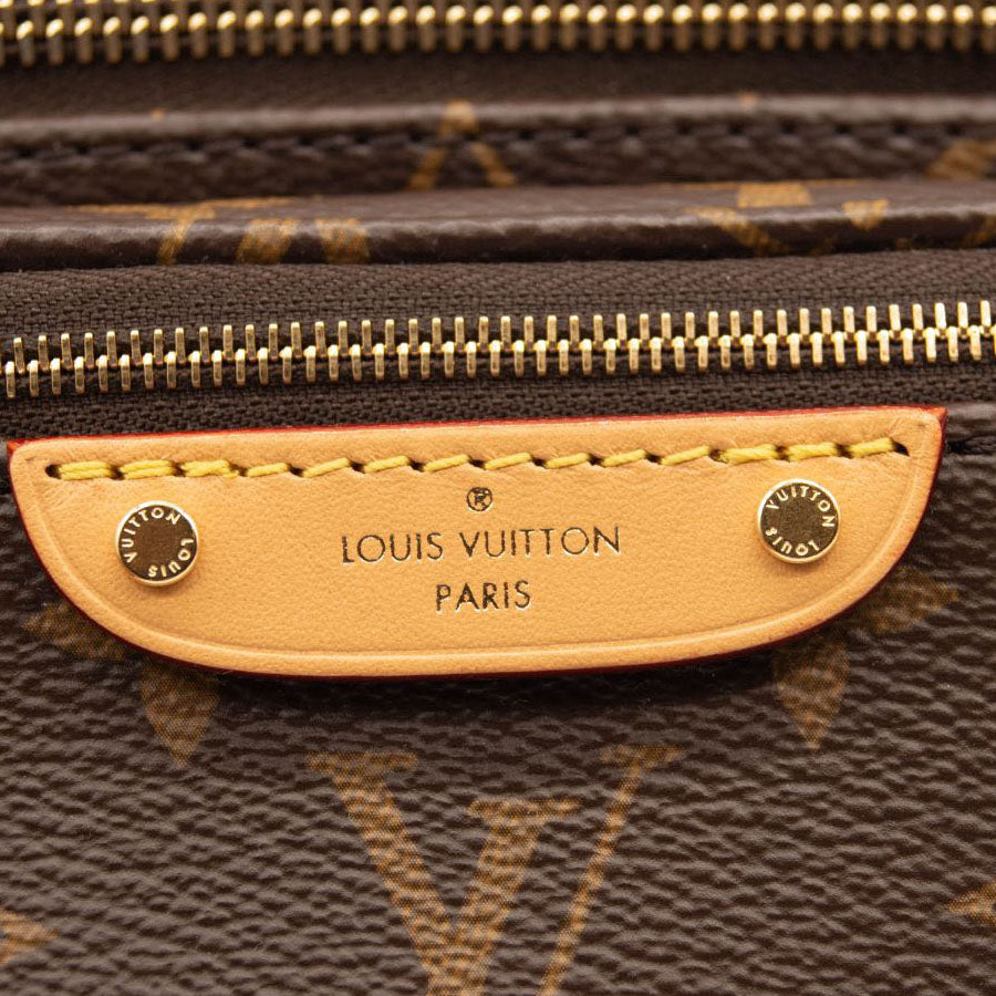 NEW LOUIS VUITTON Monogram Mini Bumbag