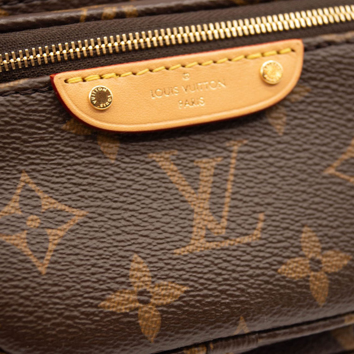 NEW LOUIS VUITTON Monogram Mini Bumbag