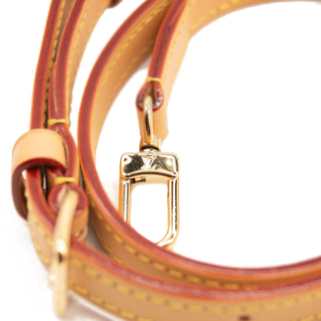 NEW LOUIS VUITTON Monogram Mini Bumbag