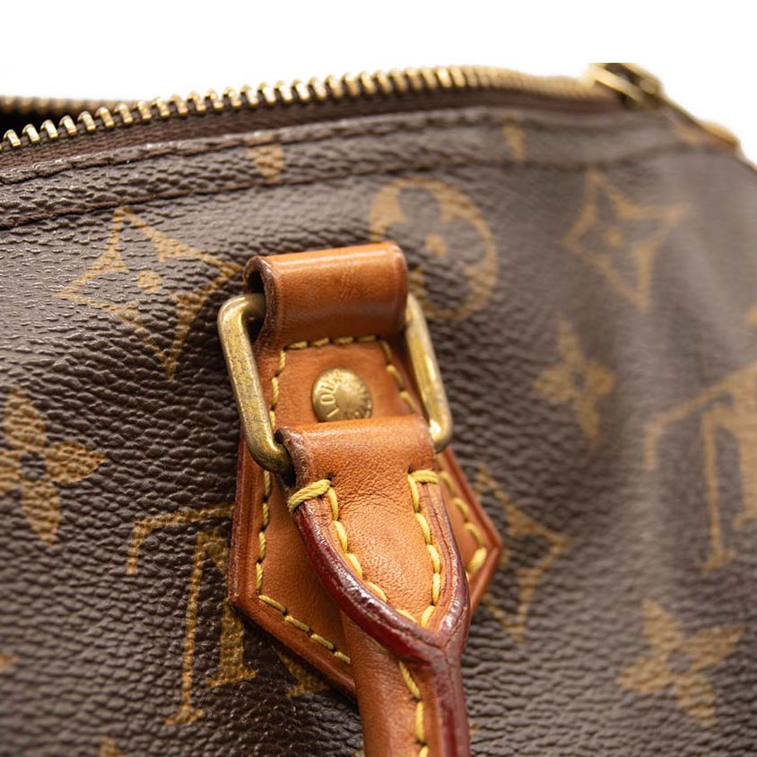 Louis Vuitton Monogram Cherry Speedy 25 Bag in Brown