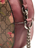 Gucci GG Supreme Monogram Blooms Mini Chain Shoulder Bag Beige Multicolor Dry Rose