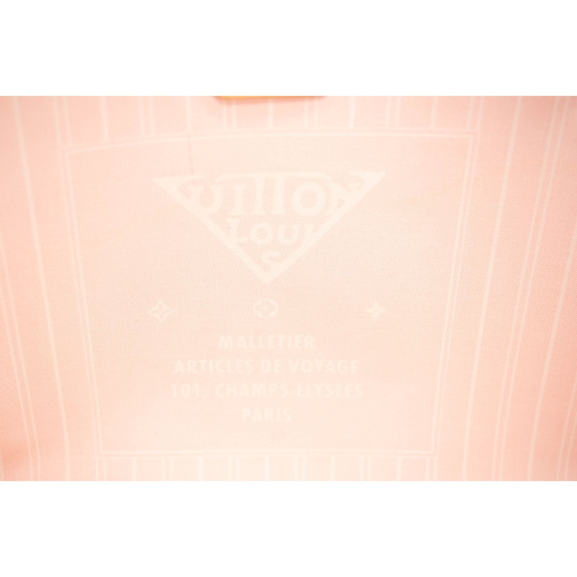 Louis Vuitton Monogram Giant By The Pool Neverfull MM Light Pink