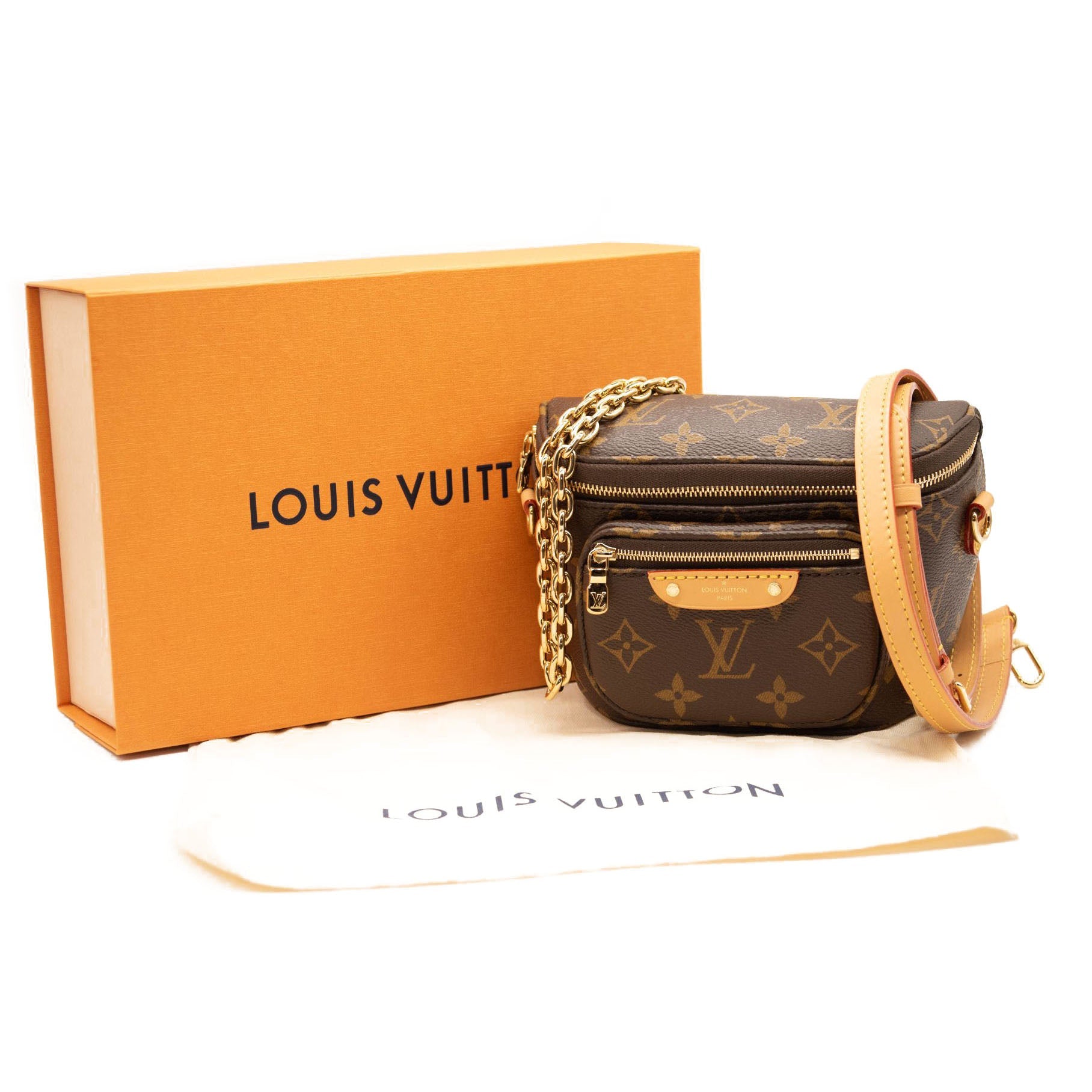 NEW Louis Vuitton Monogram Mini Bumbag M82335