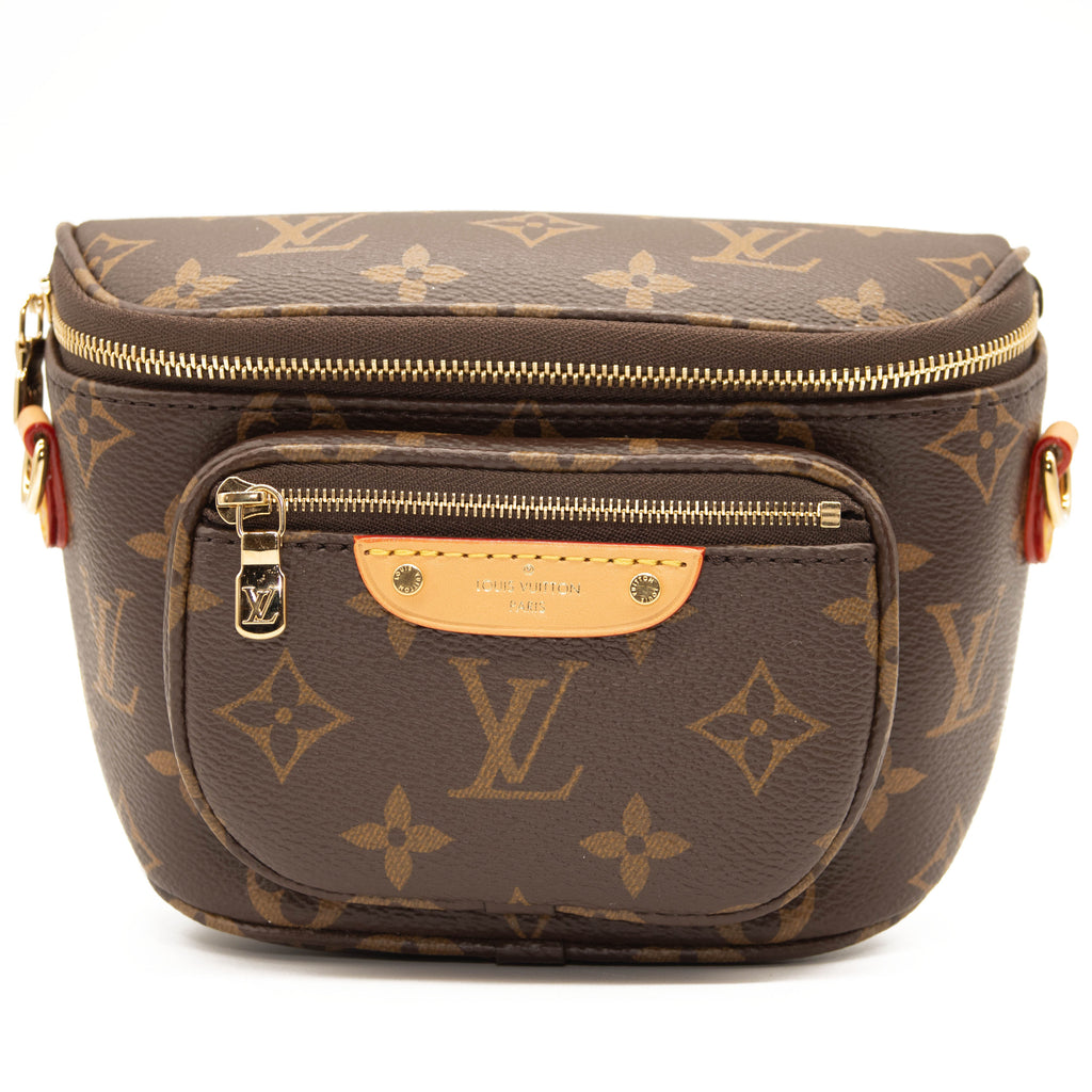 Louis Vuitton Bumbag Monogram Brown in Coated Canvas with