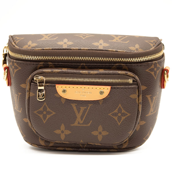Gucci Belt Bag - Louis Vuitton Bumbag