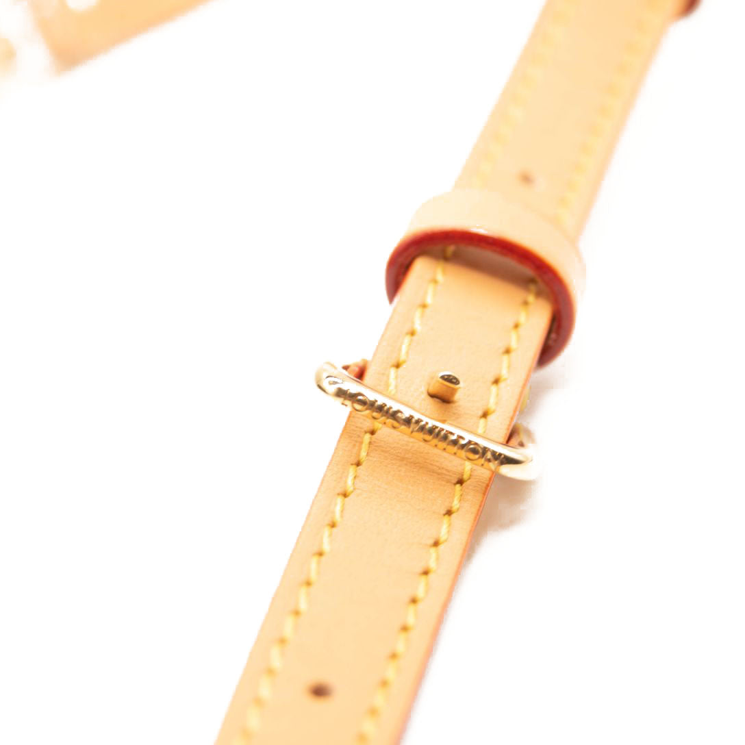 NEW LOUIS VUITTON MONOGRAM MINI BUMBAG