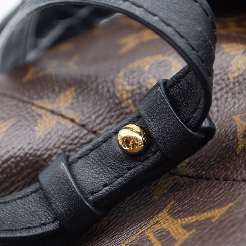 Louis Vuitton Palm Springs Mm Brown Monogram Canvas Backpack