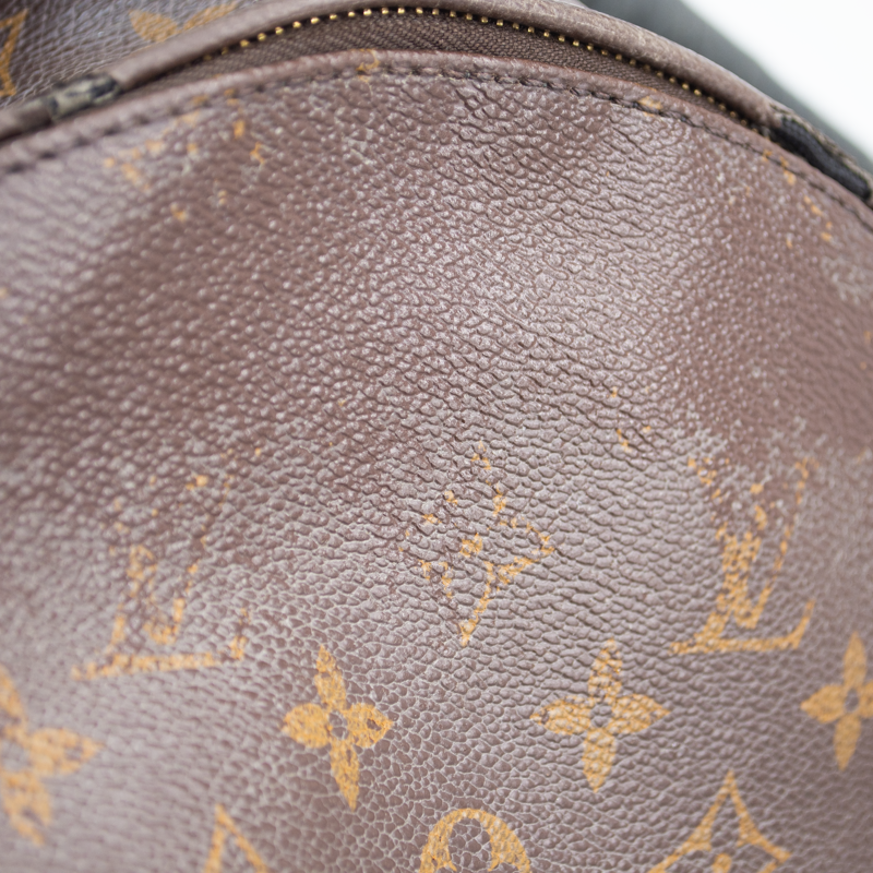 Louis Vuitton Palm Springs Mm Brown Monogram Canvas Backpack