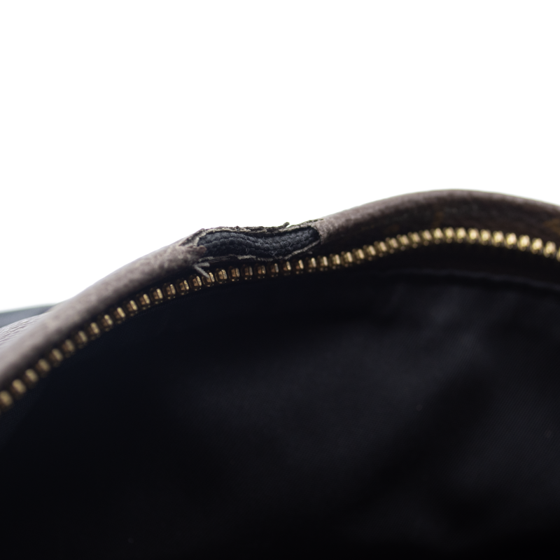 Louis Vuitton Palm Springs Mm Brown Monogram Canvas Backpack