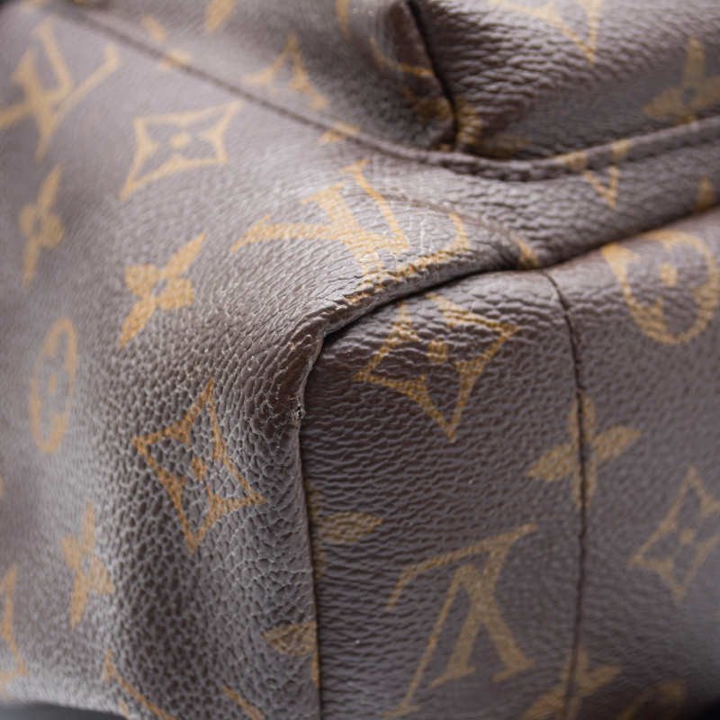 Louis Vuitton Palm Springs Mm Brown Monogram Canvas Backpack