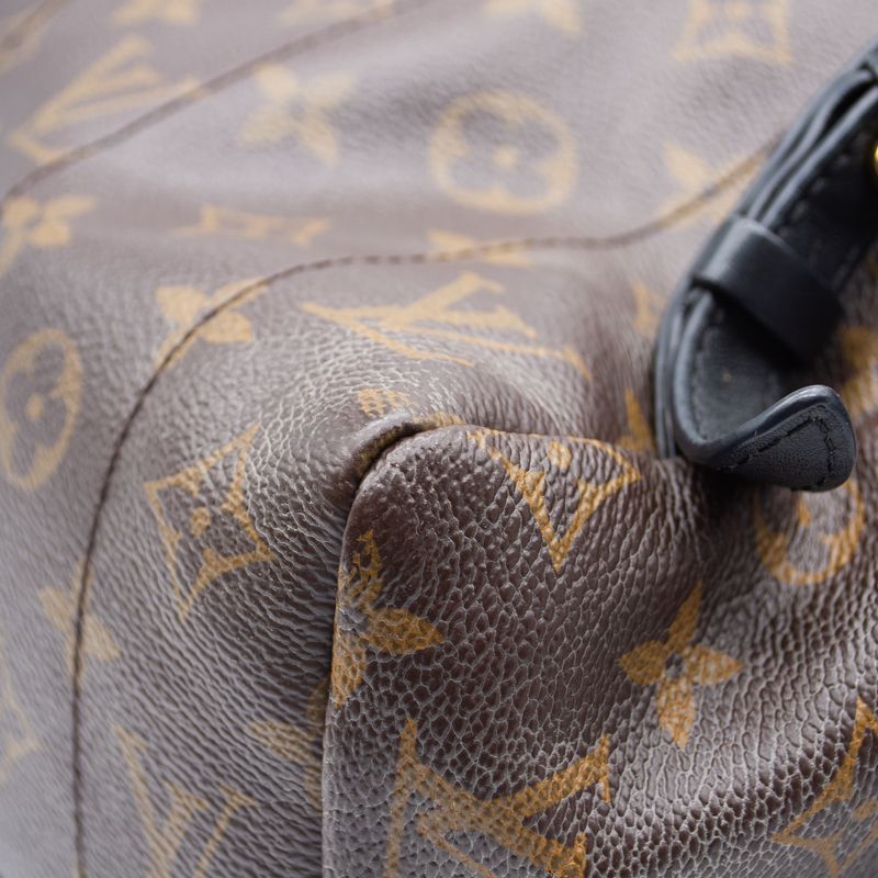 Louis Vuitton Palm Springs Mm Brown Monogram Canvas Backpack