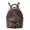 Louis Vuitton Palm Springs Backpack Mini Brown Monogram Canvas Shoulder Bag