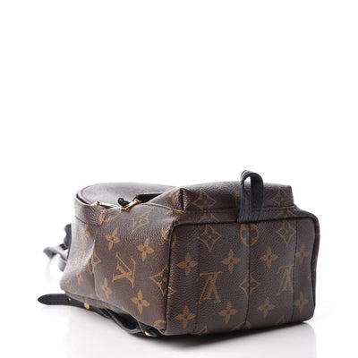 Louis Vuitton Palm Springs Backpack Mini Brown Monogram Canvas Shoulder Bag