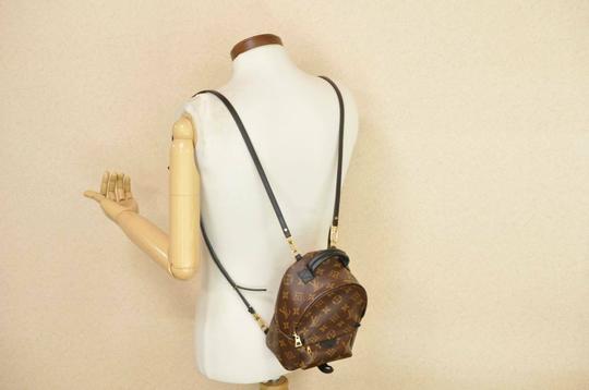 Louis Vuitton Palm Springs Mini Brown Monogram Canvas Backpack
