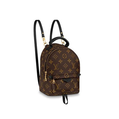 Louis Vuitton Palm Springs Monogram Mini 2020 Brown Coated Canvas Backpack