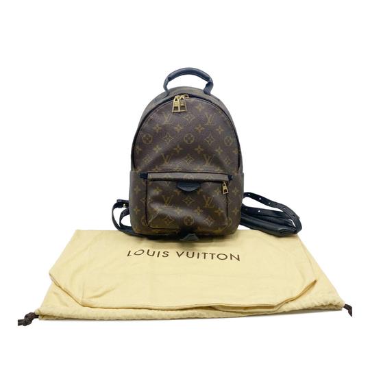 Louis Vuitton Palm Springs Pm Brown Monogram Canvas Backpack