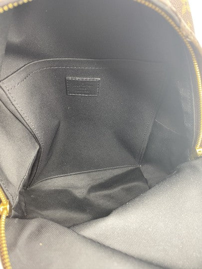 Louis Vuitton Palm Springs Pm Brown Monogram Canvas Backpack
