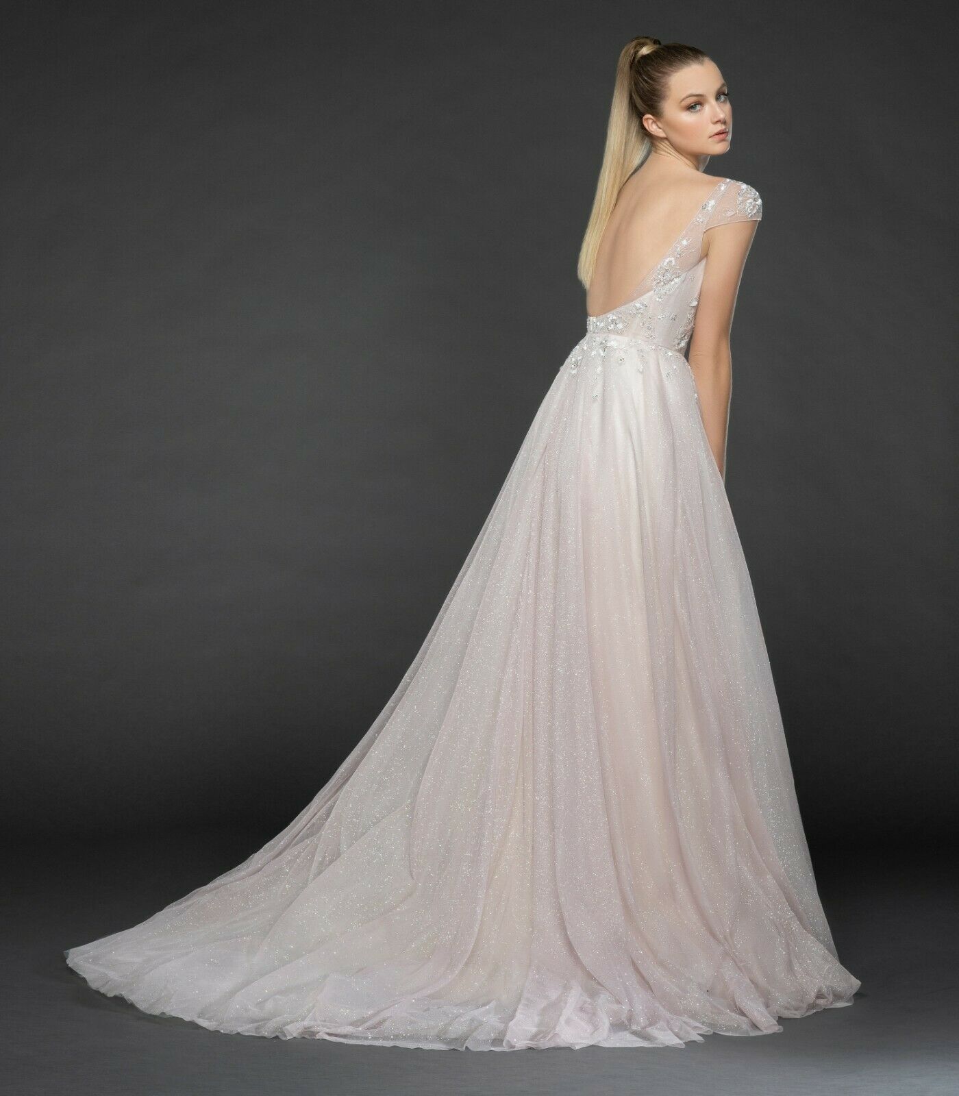 Hayley Paige Tulle 1861 Amour A-line Gown Glitter Sequin Crystal Weddi - MyDesignerly Hayley Paige Tulle 1861 Amour A-line Gown Glitter Sequin Crystal Weddi - MyDesignerly