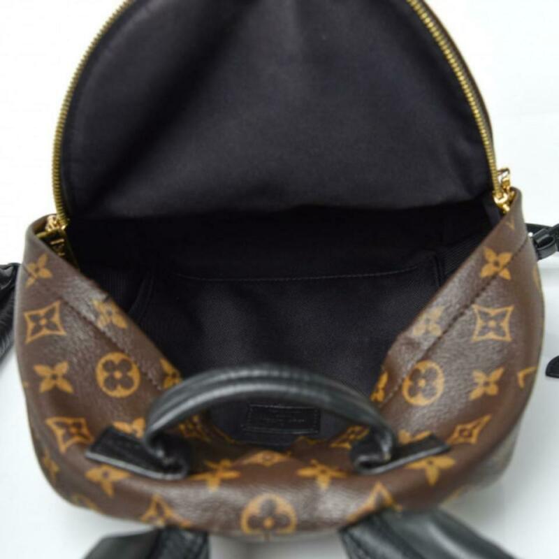 Louis Vuitton Palm Springs Pm Brown Monogram Canvas Backpack