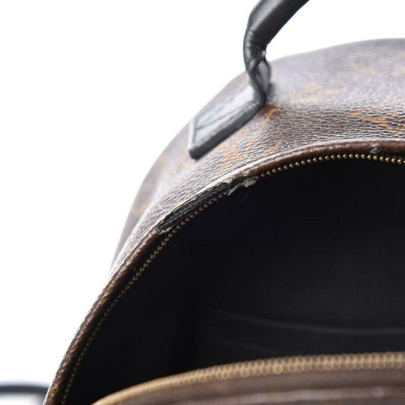 Louis Vuitton Palm Springs Backpack Mini Brown Monogram Canvas Shoulder Bag