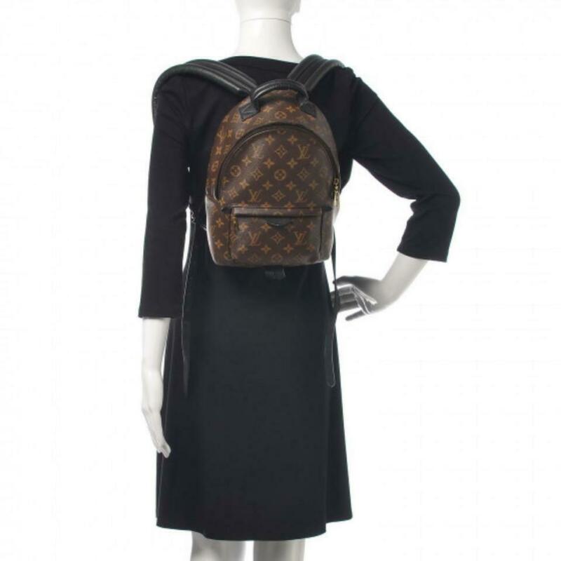Louis Vuitton Palm Springs Pm Brown Monogram Canvas Backpack