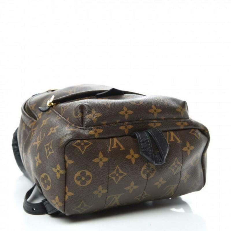 Louis Vuitton Palm Springs Pm Brown Monogram Canvas Backpack