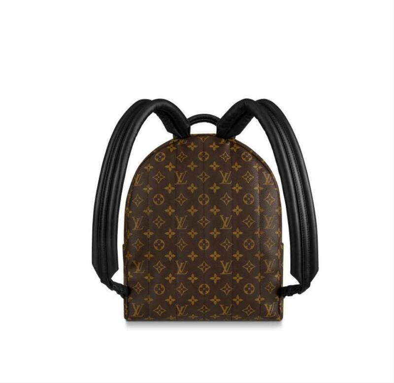 Louis Vuitton Palm Springs Mm Brown Monogram Canvas Backpack