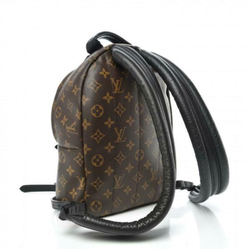 Louis Vuitton Palm Springs Pm Brown Monogram Canvas Backpack