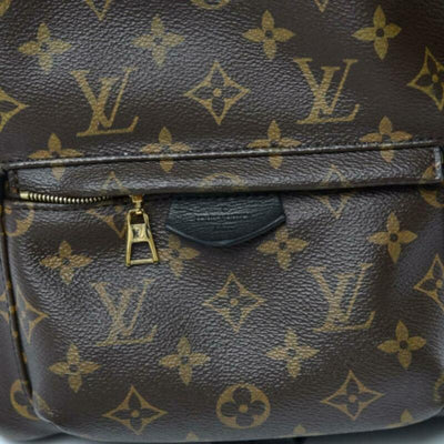 Louis Vuitton Palm Springs Pm Brown Monogram Canvas Backpack