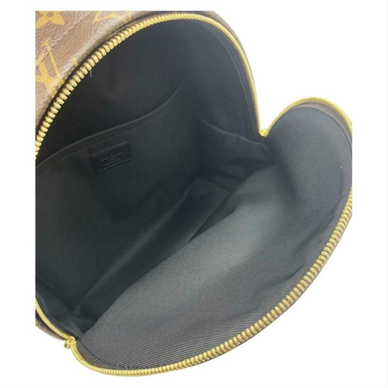 Louis Vuitton Palm Springs Mm Brown Monogram Canvas Backpack