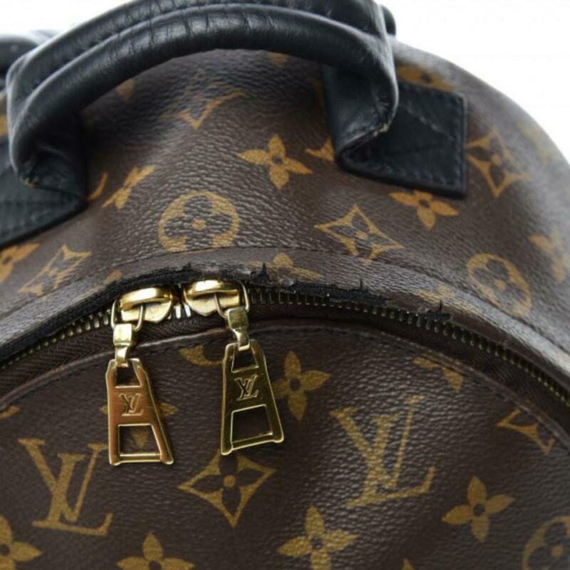 Louis Vuitton Palm Springs Pm Brown Monogram Canvas Backpack